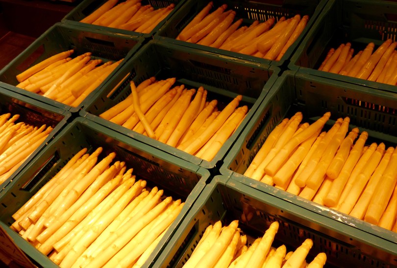 Übersichtsbild über Kisten mit weißem Spargel