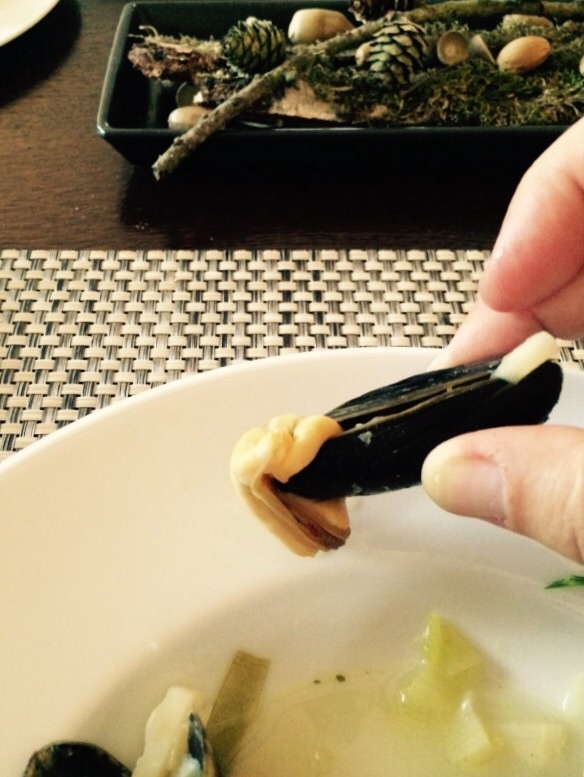 Schalen einer leeren Muschel