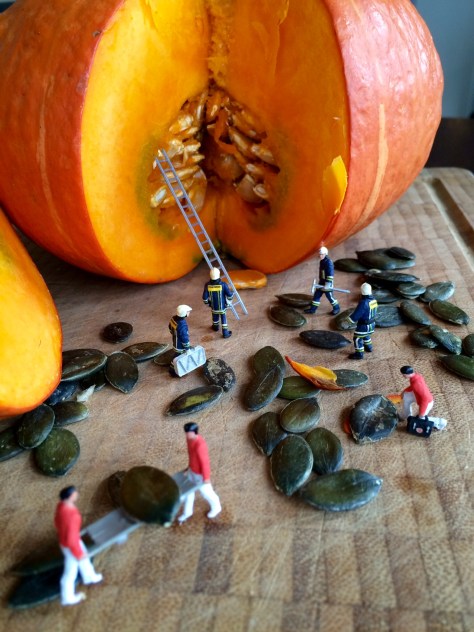 Rettung der Kürbiskerne