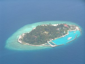 wie ein buntes Spiegelei....