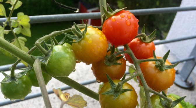 Und sie werden doch noch rot!