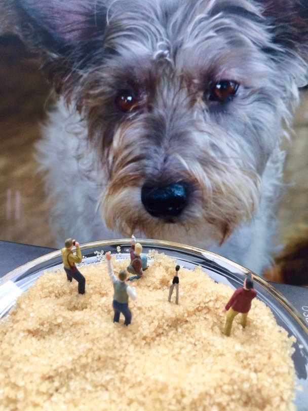 Miniaturfotografen vor einem Hundekopf